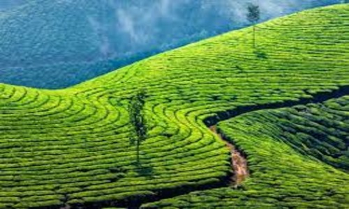 Munnar