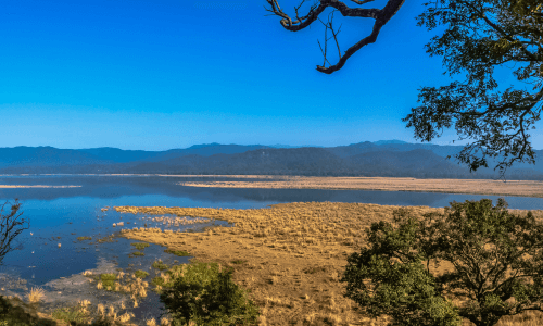 Jim Corbett Wildlife Safari