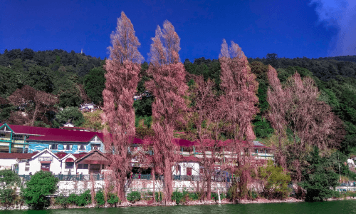 Kausani