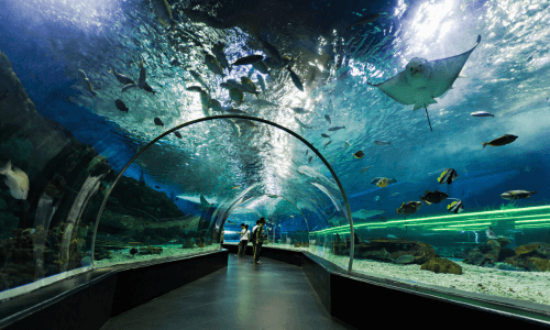 Dubai Aquarium