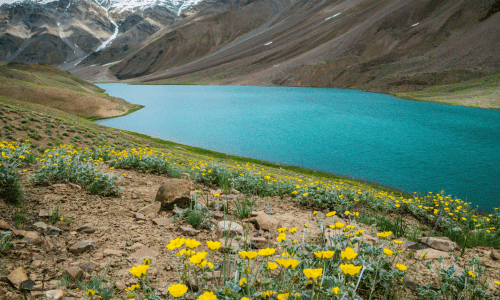 Chandratal lake