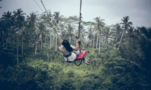 Forest Swing in Jungle Bali