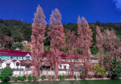 Nainital View from Lake uttarakhand