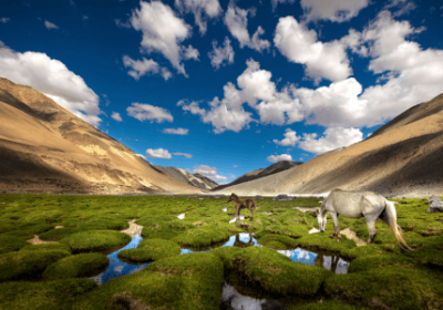 Pangong Tso lake