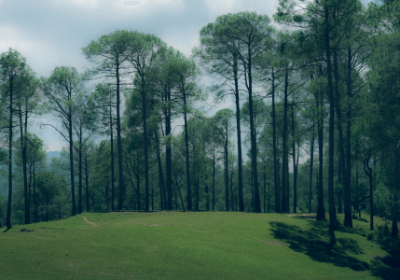 Ranikhet uttarakhand