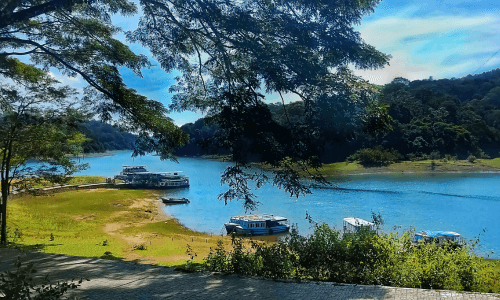 Thekkady Back Waters