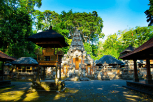 Ubud Monkey Forest Bali